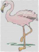 pattern Animals Flamingo