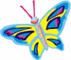 image  Animals Butterflies