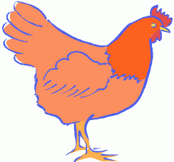 image Animals Birds