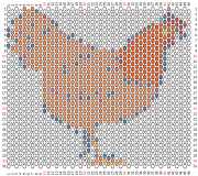 pattern Animals Birds