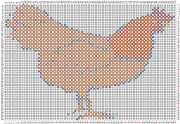 pattern Animals Birds