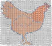 pattern Animals Birds