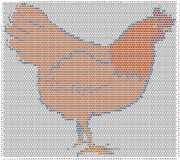 pattern Animals Birds