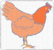 pattern Animals Birds