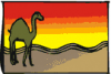 image  Animals Camels