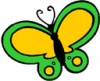 image  Animals Butterflies