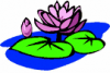 image  Plants 