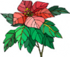 image  Plants 
