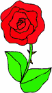 image Plants Roses