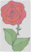 pattern Plants Roses
