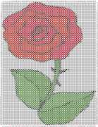pattern Plants Roses