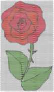 pattern Plants Roses