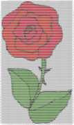 pattern Plants Roses
