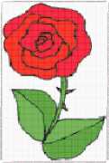 pattern Plants Roses