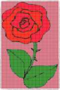 pattern Plants Roses