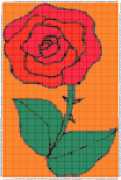 pattern Plants Roses