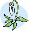 image  Plants 