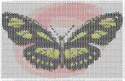 pattern Animals Butterflies