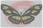 pattern Animals Butterflies