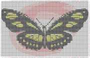 pattern Animals Butterflies