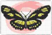 pattern Animals Butterflies