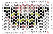 pattern Animals Butterflies