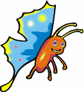image Animals Butterflies