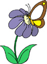 image Animals Butterflies