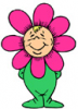 image  Plants 