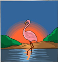 image Weather Sun Animals Flamingo