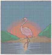 pattern Weather Sun Animals Flamingo