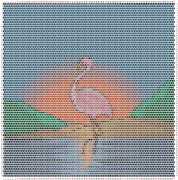 pattern Weather Sun Animals Flamingo