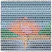 pattern Weather Sun Animals Flamingo