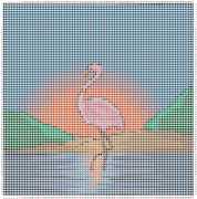 pattern Weather Sun Animals Flamingo