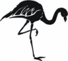 image  Animals 