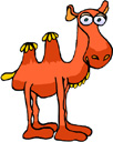 image Animals Camels