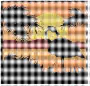 pattern Weather Sun Animals Flamingo