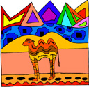 image Animals Camels
