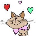 image Animals Cats