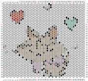 pattern Animals Cats