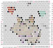 pattern Animals Cats