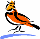 image Animals Birds