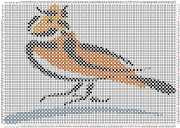 pattern Animals Birds