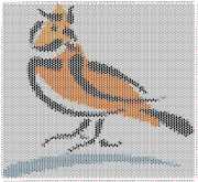 pattern Animals Birds