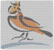 pattern Animals Birds
