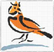 pattern Animals Birds