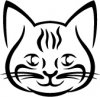 image  Animals Cats