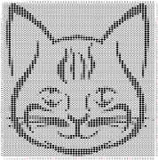 pattern Animals Cats