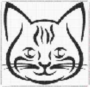 pattern Animals Cats