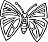 image  Animals Butterflies